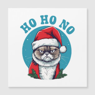 Ho ho não - gato engraçado e rabugento de papai no