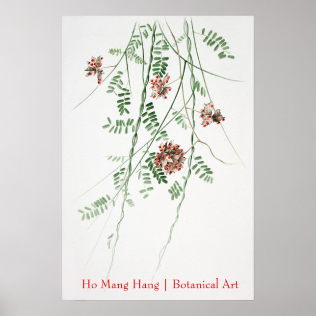 Ho Mang Hang Art poster 1 (Frente)