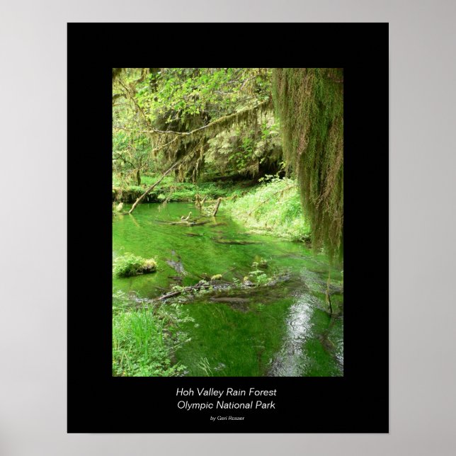 Hoh Valley Rain Forest Poster (riacho) (Frente)