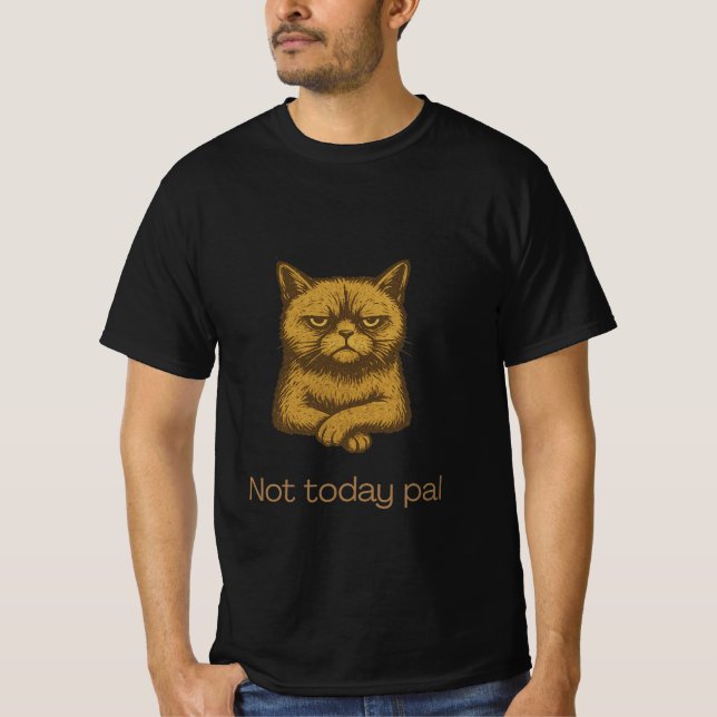 Hoje Não, Camisa De Gato Pal - Teto De Gato Rumpy (Frente)