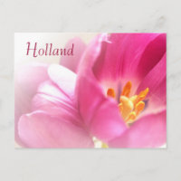 Holanda, Tulipas da Primavera Cartão Postal