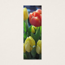 Holandesa Tulips Holland Bookmark Foto Art