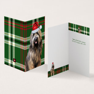 Holiday Briard Shepherd Dog Xadrez Verde Natal