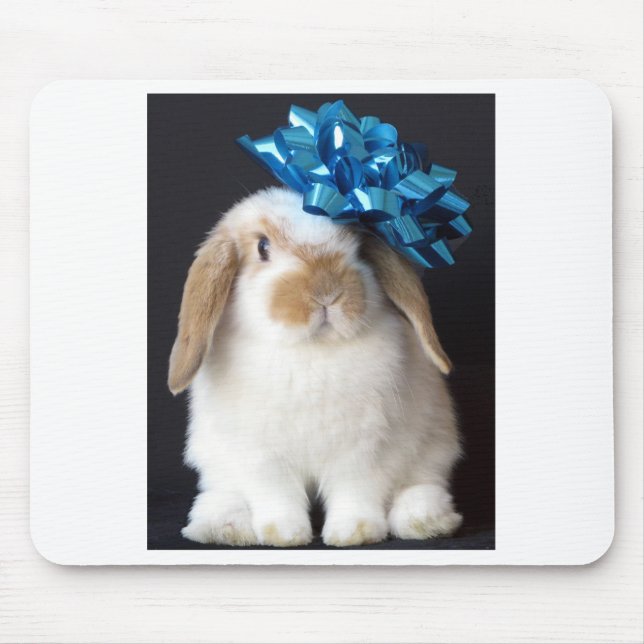 Holland Lop Mousepad (Frente)