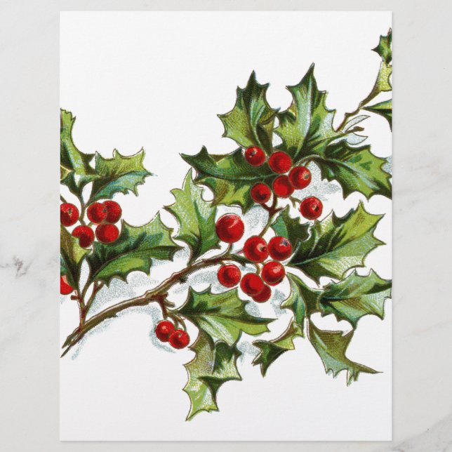Holly Berries 001 (Frente)