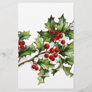 Holly Berries 001