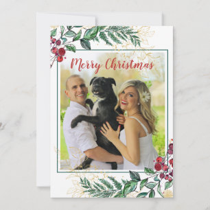 Holly Berries Foto Botânica Floral Natal