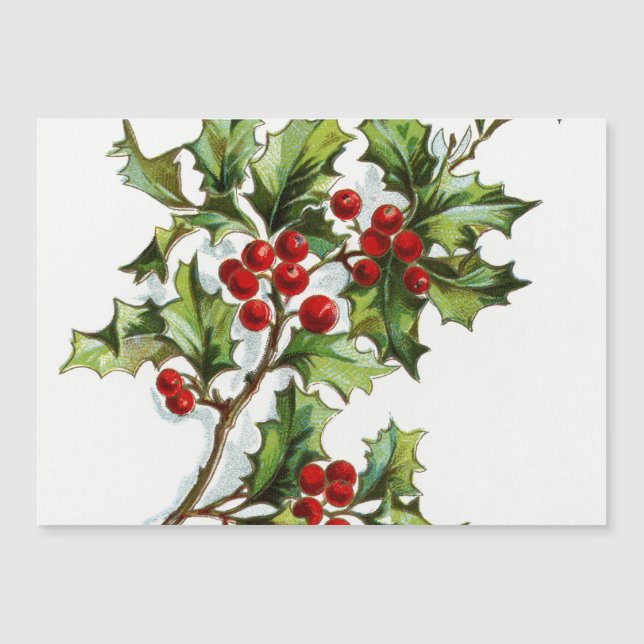 HollyBerries20150802 (Frente)