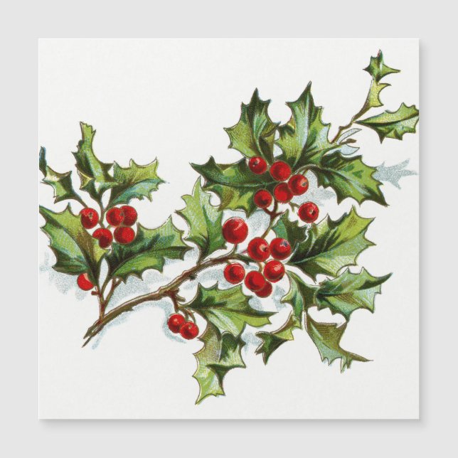 HollyBerries 001 (Frente)