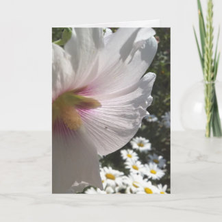 Hollyhocks e Daisies - Cartão de Saudação