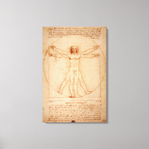 Homem de Vitruvian das canvas por Leonardo da