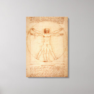 Homem de Vitruvian das canvas por Leonardo da