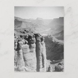 Homem e Donkey no cartão postal Grand Canyon