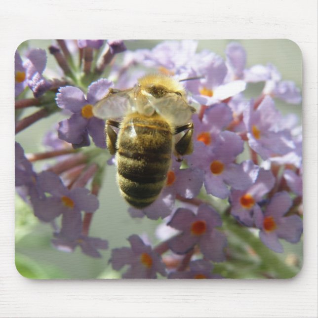 Honeybee Buddleia Flowers Mousepad (Frente)