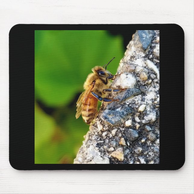 Honeybee Mousepad (Frente)