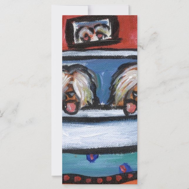 Hora de banho do Briard (Frente)