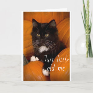 HORA DE CELEBRAR O SEU CARTÃO DE ANIVERSÁRIO DE 70