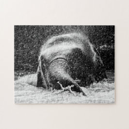 Hora do banho de elefante, Quebra-cabeça de quebra
