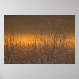 Horizonte sobre o Lago Erie Poster