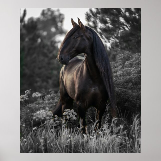 Horse Black White Photo Modern Poster (Frente)