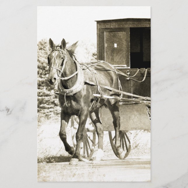 Horse e Buggy Sepia (Frente)