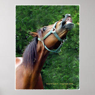 Horse Laugh Poster