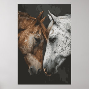 Horse Lover Melhor Amigos Poster