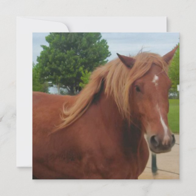 Horse Note Card | Elegant Equestrian Greeting Card (Frente)
