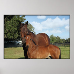 Horse Royale Poster -60x40 -clique para menores