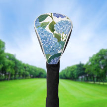 Hortênsias Azuis | Belo Arbusto Floral