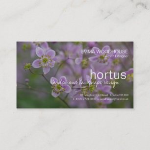 Hortus - cartão de visita do Thalictrum