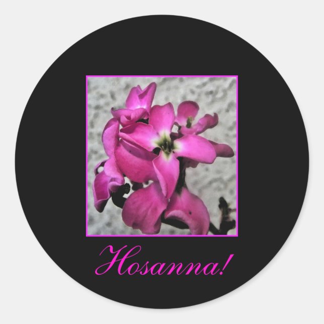 Hosanna, adesivo floral rosa (Frente)