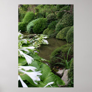 Hosta em um Poster de Jardim Zen