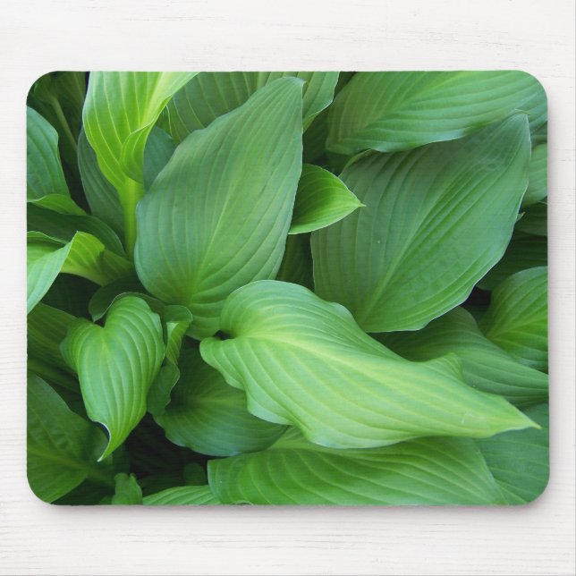 Hosta Mousepad (Frente)