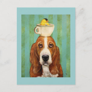Hound basset com goldfinho no cartão postal do tea