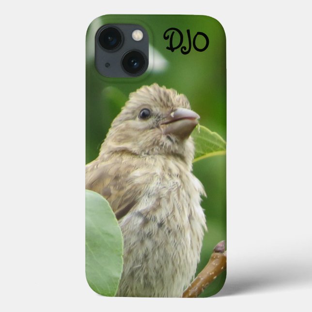 House Finch Bird Personalizado (Verso)