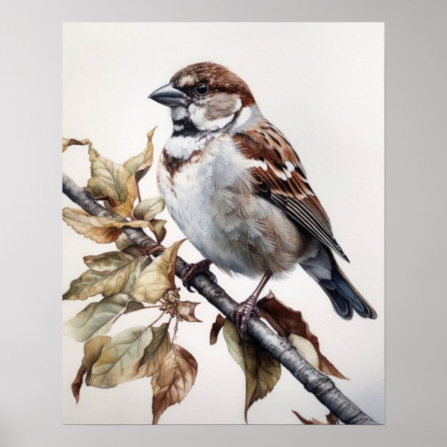 House Sparrow Bird Art Impressão (Frente)