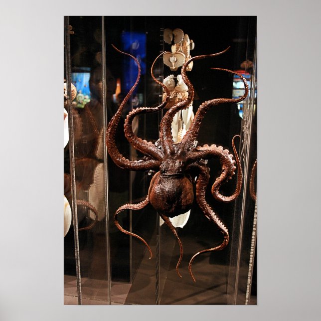 Houston Museum of Natural Science Poster (Frente)