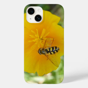 Hoverfly e California Poppy