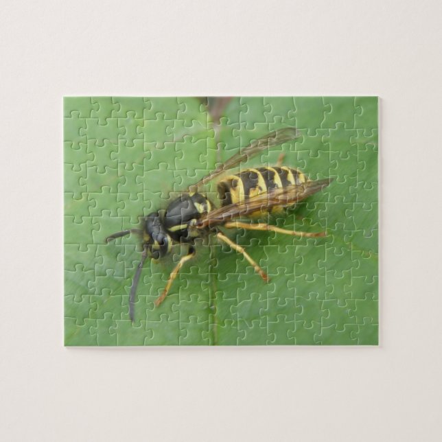Hoverfly em um Quebra-cabeça de folha (Horizontal)
