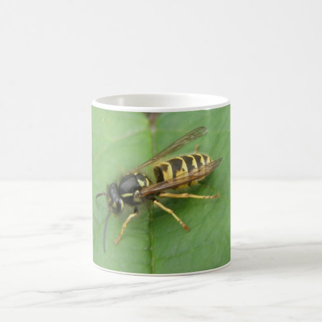 Hoverfly em uma caneca Folha (Centro)
