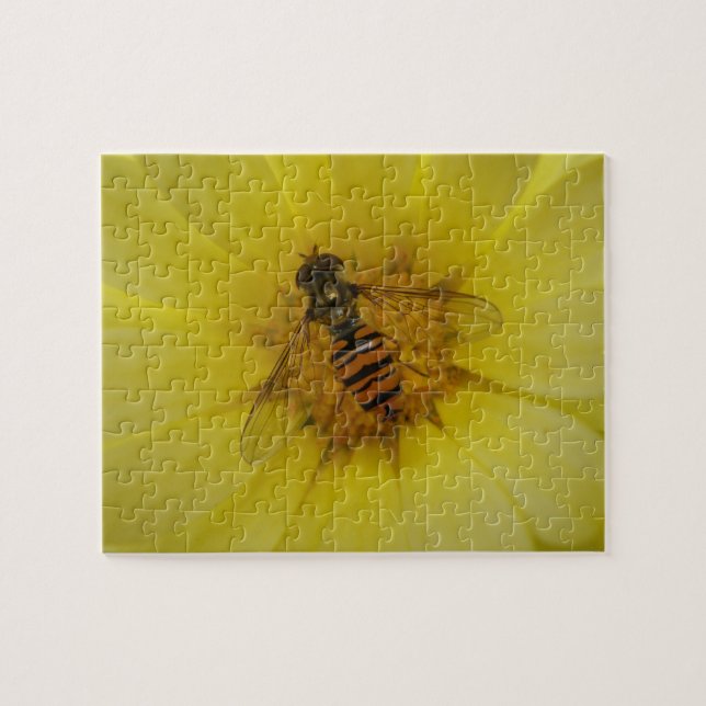 Hoverfly em uma Quebra-cabeça Marigold (Horizontal)
