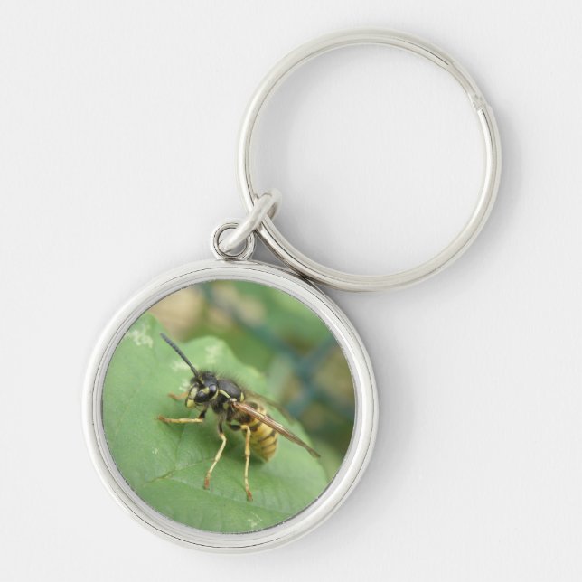 Hoverfly Macro Chaveiro (Frente)