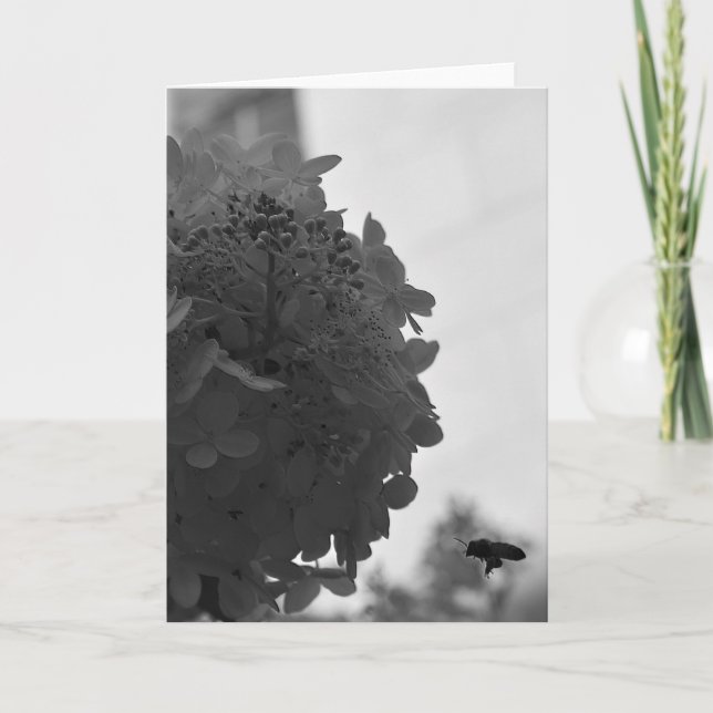 Hovering Honey Bee, cartão (Frente)