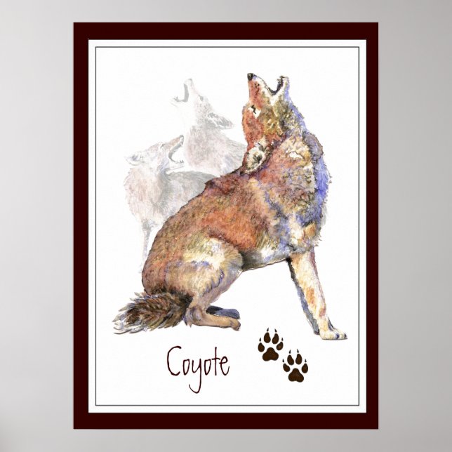 Howling Coyote Animal Nature Poster (Frente)