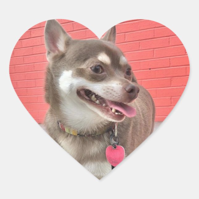 Huey tem meus adesivos cardíacos! (Frente)