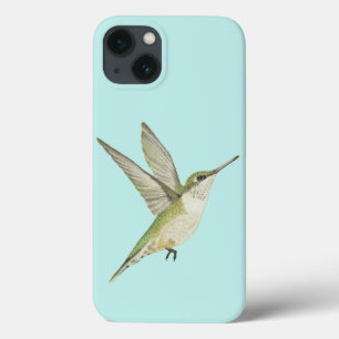 Hummingbird