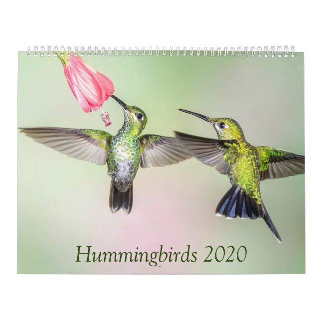 Hummingbird 2020 Belo Calendário Fotográfico (Capa)