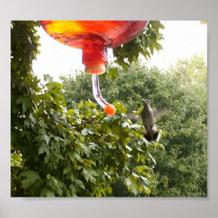 Hummingbird 2, Impressão
