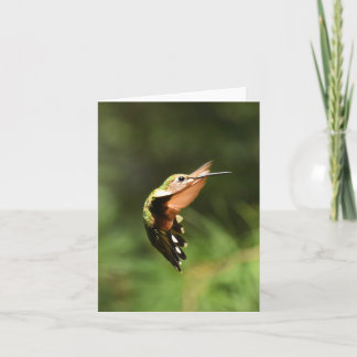 Hummingbird 5 de garganta rubi - Cartão de Nota de